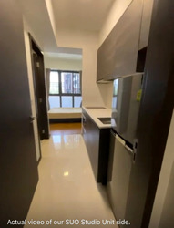 Sims Urban Oasis (D14), Condominium #497556561